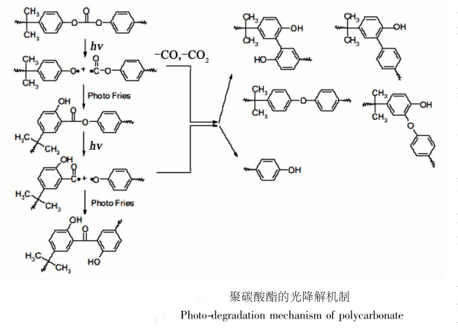 聚碳酸酯的光降解机选.jpg